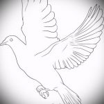 эскиз тату голубь №31 - крутой вариант рисунка, который легко можно использовать для переработки и нанесения как тату на шее голуби