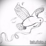 эскиз тату голубь №507 - уникальный вариант рисунка, который легко можно использовать для переработки и нанесения как голубь мира тату