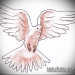 эскиз тату голубь №808 - эксклюзивный вариант рисунка, который легко можно использовать для переработки и нанесения как тату на шее голуби