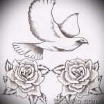 эскиз тату голубь №437 - крутой вариант рисунка, который удачно можно использовать для переделки и нанесения как тату на груди голуби