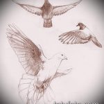 эскиз тату голубь №401 - уникальный вариант рисунка, который удачно можно использовать для переделки и нанесения как тату голубь на запястье