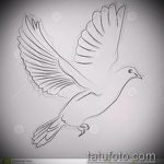 эскиз тату голубь №826 - достойный вариант рисунка, который хорошо можно использовать для доработки и нанесения как тату три голубя