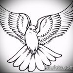 эскиз тату голубь №269 - интересный вариант рисунка, который хорошо можно использовать для преобразования и нанесения как тату голубь на руке