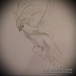 эскиз тату голубь №849 - прикольный вариант рисунка, который удачно можно использовать для преобразования и нанесения как тату три голубя