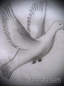 Черно-белый эскиз татуировки с изображением летящего голубя, выполненный в реалистичном стиле. Подходит для нанесения на спину или плечо.