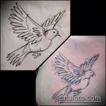 эскиз тату голубь №506 - крутой вариант рисунка, который удачно можно использовать для переработки и нанесения как голубь мира тату