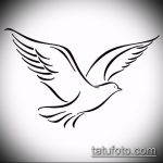 эскиз тату голубь №401 - интересный вариант рисунка, который легко можно использовать для переработки и нанесения как тату три голубя