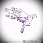 эскиз тату голубь №489 - крутой вариант рисунка, который удачно можно использовать для переработки и нанесения как тату голубь на запястье