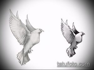 Два черно-белых эскиза татуировок голубей, изображенных в полете. Рисунки выполнены в реалистичном стиле с детализированными перьями и тенями.