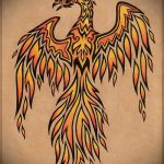 эскиз тату жар птица №609 - уникальный вариант рисунка, который удачно можно использовать для преобразования и нанесения как татуировка жар птица на животе