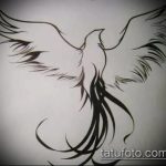 эскиз тату жар птица №354 - эксклюзивный вариант рисунка, который удачно можно использовать для доработки и нанесения как татуировка жар птица на животе