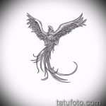 эскиз тату жар птица №645 - уникальный вариант рисунка, который успешно можно использовать для доработки и нанесения как татуировка жар птица на спине