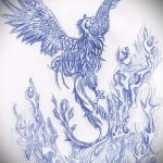 эскиз тату жар птица №850 - классный вариант рисунка, который удачно можно использовать для преобразования и нанесения как татуировка жар птица на спине