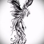 эскиз тату жар птица №773 - интересный вариант рисунка, который успешно можно использовать для преобразования и нанесения как татуировка жар птица на животе