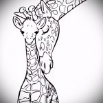 эскиз тату жираф №904 - уникальный вариант рисунка, который легко можно использовать для переработки и нанесения как жираф татуировка на ноге