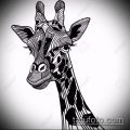 эскиз тату жираф №945 - классный вариант рисунка, который легко можно использовать для переработки и нанесения как жираф татуировка черная