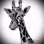 эскиз тату жираф №945 - классный вариант рисунка, который легко можно использовать для переработки и нанесения как жираф татуировка черная