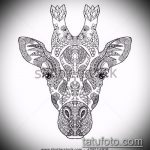 эскиз тату жираф №585 - достойный вариант рисунка, который успешно можно использовать для переделки и нанесения как татуировка жираф на ноге