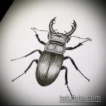 эскиз тату жук №109 - прикольный вариант рисунка, который удачно можно использовать для доработки и нанесения как татуировка жук на пальце