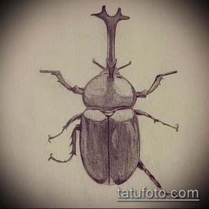 Черно-белый эскиз татуировки жука-оленя, детально прорисованного с акцентом на рога и текстуру панциря. Идеально для любителей насекомых и реалистичных тату.