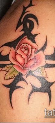 фото тату терновник (значение) — пример интересного рисунка тату — 013 tatufoto.com