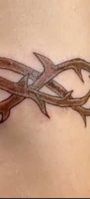 фото тату терновник (значение) — пример интересного рисунка тату — 015 tatufoto.com