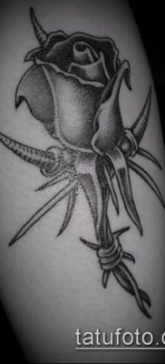 фото тату терновник (значение) — пример интересного рисунка тату — 016 tatufoto.com