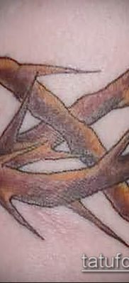 фото тату терновник (значение) — пример интересного рисунка тату — 028 tatufoto.com