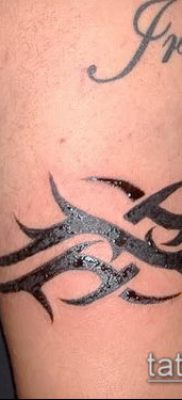 фото тату терновник (значение) — пример интересного рисунка тату — 030 tatufoto.com