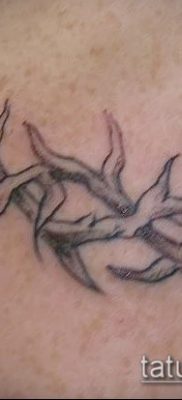 фото тату терновник (значение) — пример интересного рисунка тату — 051 tatufoto.com