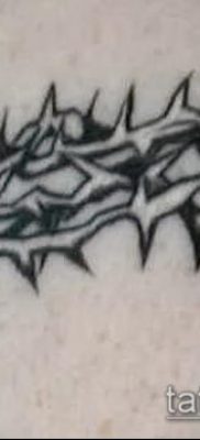 фото тату терновник (значение) — пример интересного рисунка тату — 052 tatufoto.com