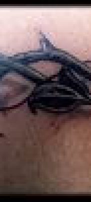 фото тату терновник (значение) — пример интересного рисунка тату — 055 tatufoto.com