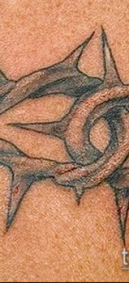 фото тату терновник (значение) — пример интересного рисунка тату — 057 tatufoto.com