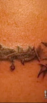 фото тату терновник (значение) — пример интересного рисунка тату — 059 tatufoto.com