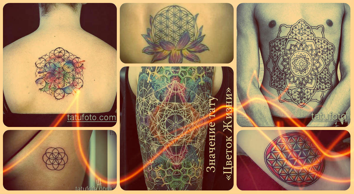 Значение тату «Цветок Жизни» - варианты готовых татуировок на фото - рисунки