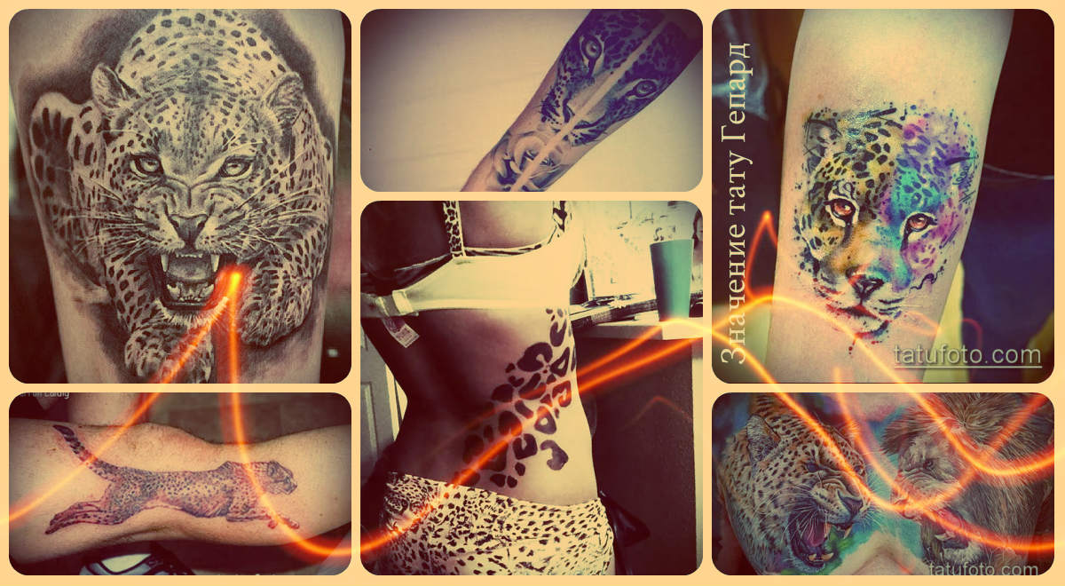 Значение тату Гепард - интересные примеры готовых татуировок на фото