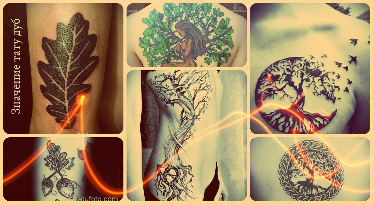 Значение тату дуб - оригинальные фото примеры классных татуировок