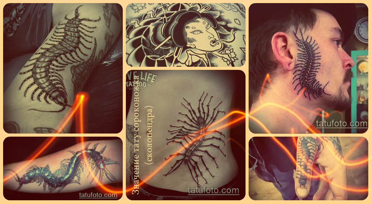 Значение тату сороконожка (сколопендра) - оригинальный примеры готовых татуировок фото