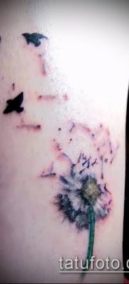 фото одуванчик с птицами (Dandelion Tatto) (значение) — пример рисунка — 051 tatufoto.com