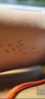 фото одуванчик с птицами (Dandelion Tatto) (значение) — пример рисунка — 064 tatufoto.com
