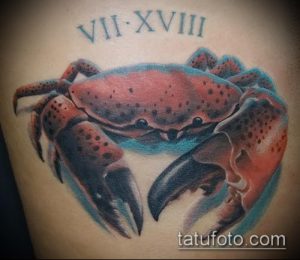 Фото тату краба на плече с римскими цифрами 'VII-XVIII'. Краб выполнен в реалистичном стиле с использованием красных и синих оттенков.