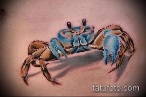 Фото реалистичной татуировки краба на животе. Детализированный рисунок с использованием синих, коричневых и белых оттенков. Краб выглядит объемно и естественно.