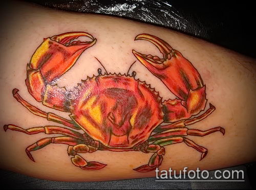 фото тату Краб (Рак) (значение) - пример интересного рисунка тату - 052 tatufoto.com