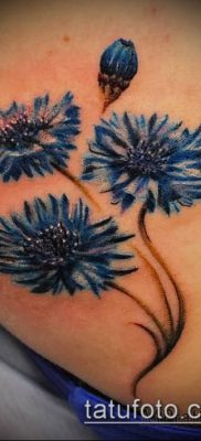 фото тату василек (cornflower tattoo) (значение) — пример рисунка — 001 tatufoto.com