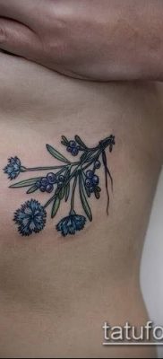 фото тату василек (cornflower tattoo) (значение) — пример рисунка — 003 tatufoto.com