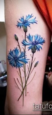 фото тату василек (cornflower tattoo) (значение) — пример рисунка — 006 tatufoto.com