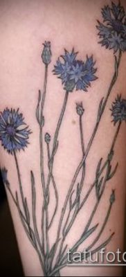 фото тату василек (cornflower tattoo) (значение) — пример рисунка — 007 tatufoto.com