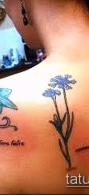 фото тату василек (cornflower tattoo) (значение) — пример рисунка — 010 tatufoto.com