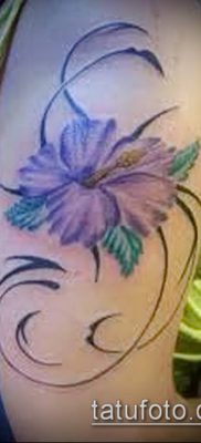 фото тату василек (cornflower tattoo) (значение) — пример рисунка — 017 tatufoto.com