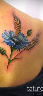 фото тату василек (cornflower tattoo) (значение) — пример рисунка — 019 tatufoto.com